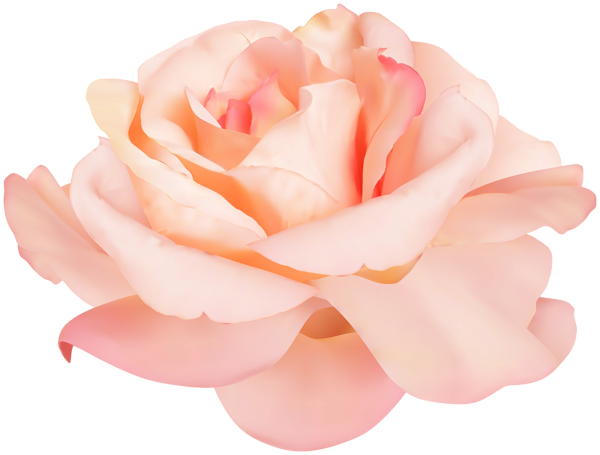This png image - Soft Rose PNG Clipart, is available for free download