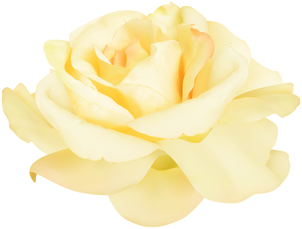 This png image - Soft Yellow Rose PNG Clipart, is available for free download