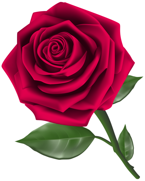 This png image - Steam Rose Clipart PNG Image, is available for free download