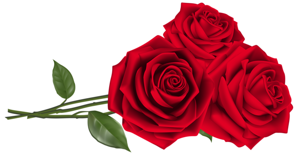 This png image - Three Red Roses PNG Clipart Image, is available for free download