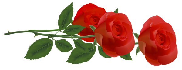 This png image - Three Red Roses PNG Clipart Picture, is available for free download