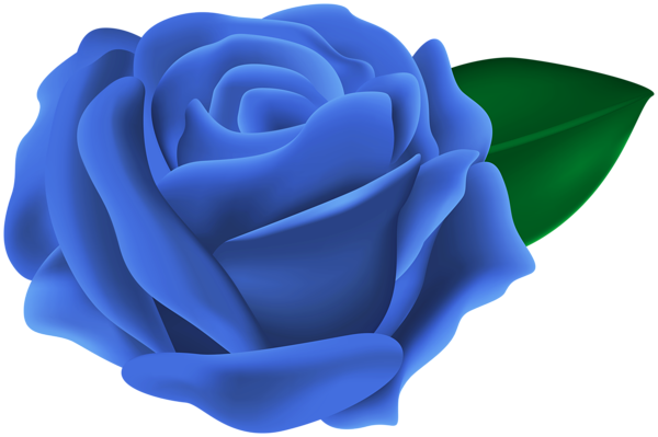 This png image - Transparent Blue Rose PNG Clipart, is available for free download