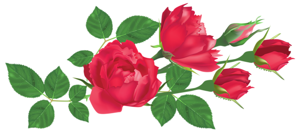 This png image - Transparent Red Roses PNG Clipart Picture, is available for free download