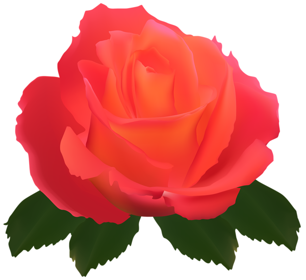 This png image - Transparent Rose Clip Art PNG Image, is available for free download