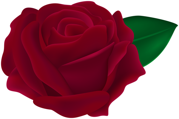 This png image - Transparent Rose Dark Red PNG Clipart, is available for free download