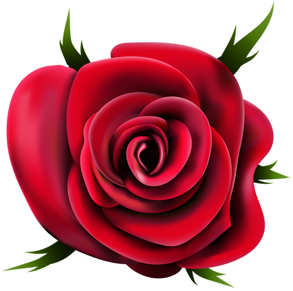 This png image - Transparent Rose PNG Clip Art, is available for free download