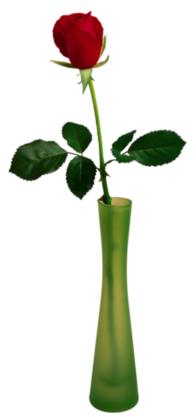 This png image - Transparent Rose in Vase Picture, is available for free download