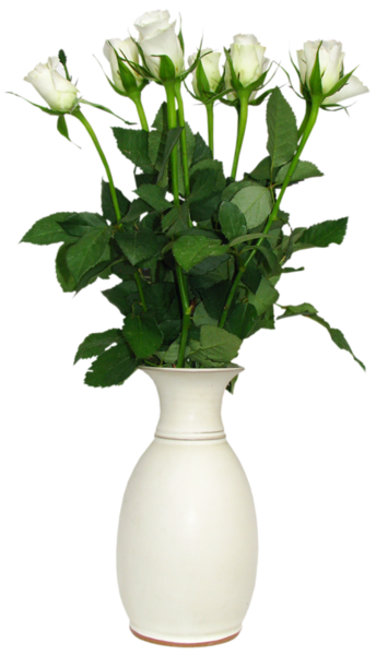This png image - Transparent White Rose in Vase Picture, is available for free download
