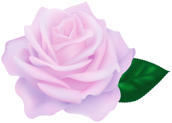 This png image - Violet Rose Transparent PNG Clipart, is available for free download