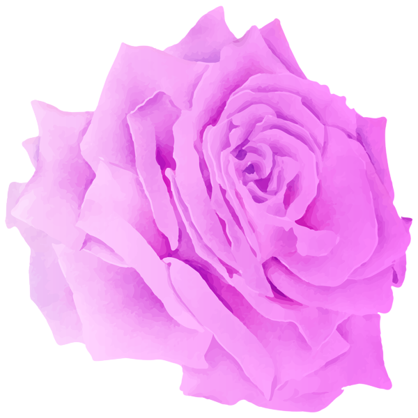 This png image - Violet Rose Watercolor PNG Clipart, is available for free download