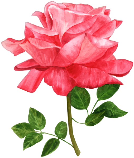 This png image - Watercolor Rose PNG Clip Art Image, is available for free download