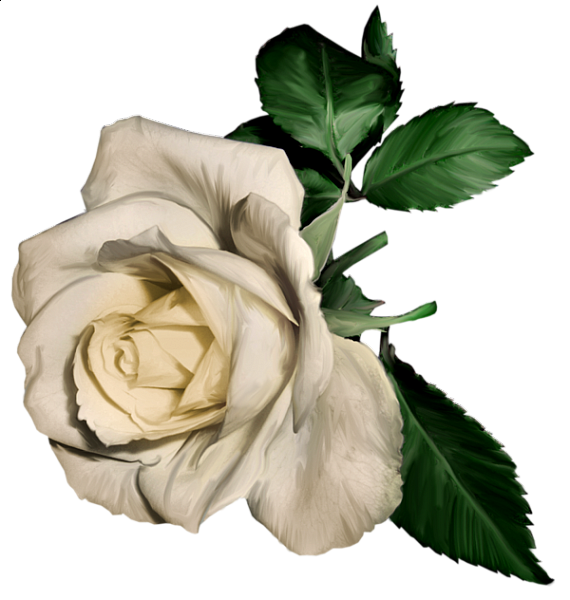 This png image - White Painted Rose Clipart, is available for free download