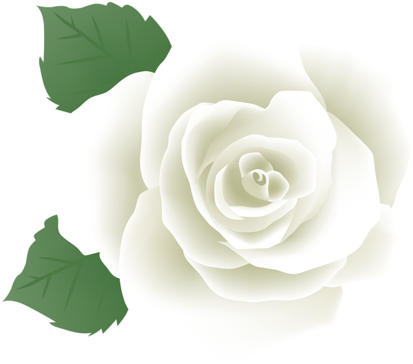 This png image - White Rose PNG Deco Image, is available for free download