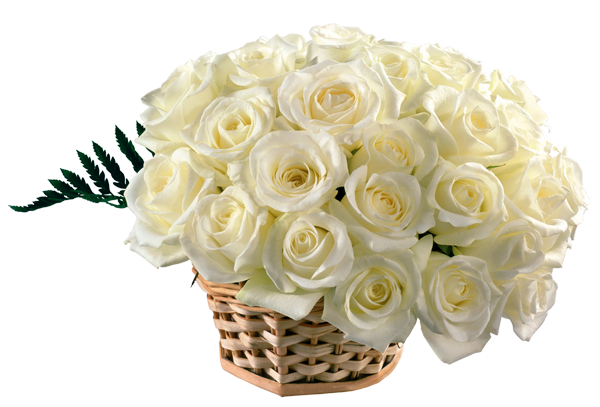 This png image - White Roses Basket Bouquet Clipart, is available for free download