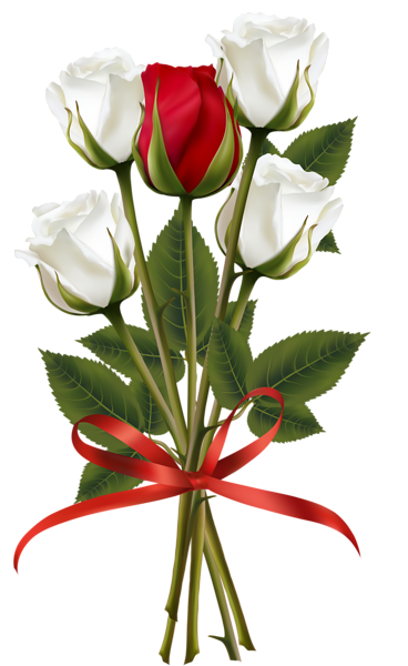 This png image - White and Red Rose Bouquet Transparent PNG Clip Art Image, is available for free download