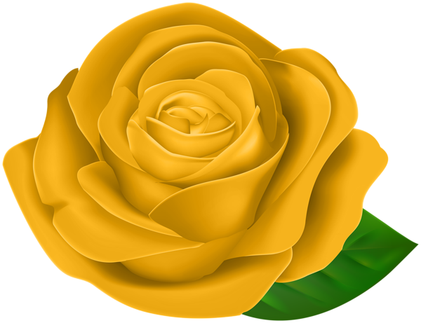 This png image - Yellow Beautiful Rose with Leaf PNG Clipart, is available for free download