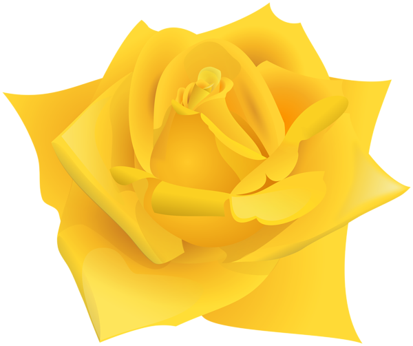 This png image - Yellow Color Rose Flower PNG Clipart, is available for free download