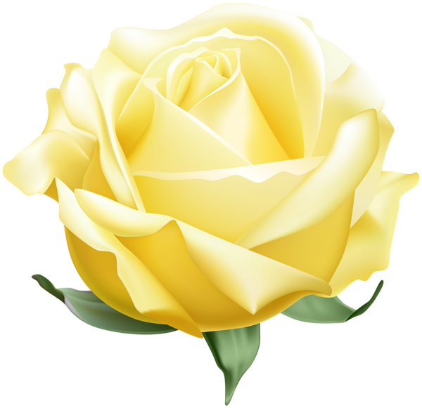 This png image - Yellow Open Rose PNG Clipart, is available for free download