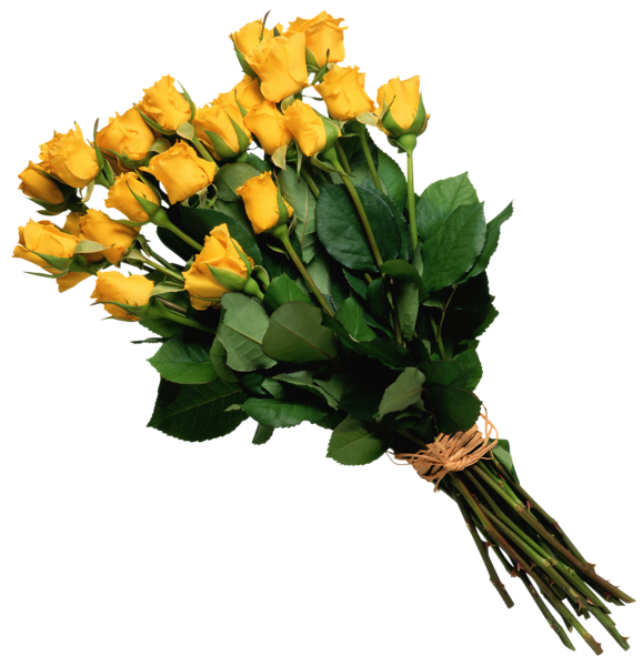 This png image - Yellow Rose Bouquet PNG Picture, is available for free download