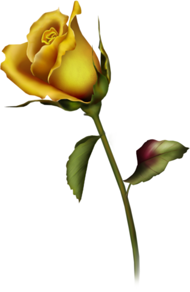 Yellow Rose Bud Art Clipart