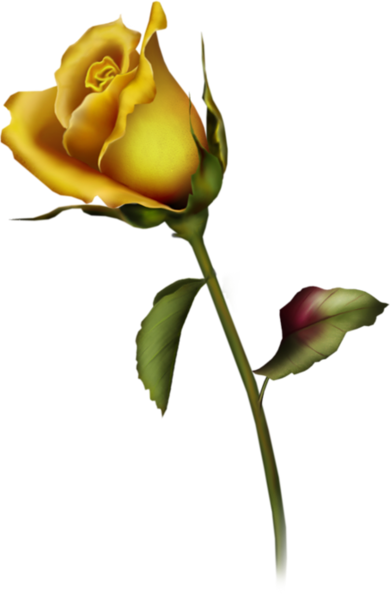This png image - Yellow Rose Bud Art Clipart, is available for free download