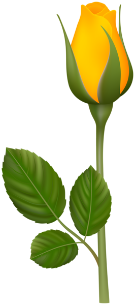 This png image - Yellow Rose Bud PNG Clipart, is available for free download