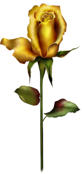 Yellow Rose Bud PNG Clipart | Gallery Yopriceville - High-Quality Free ...