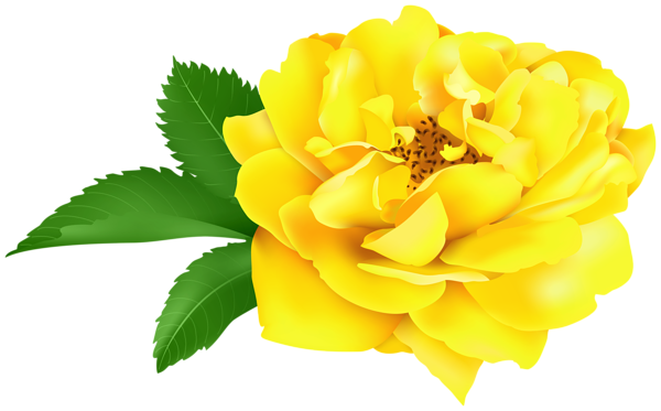 This png image - Yellow Rose Clip Art Image, is available for free download