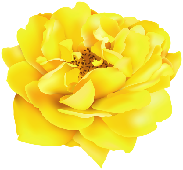 This png image - Yellow Rose Clipart Image, is available for free download