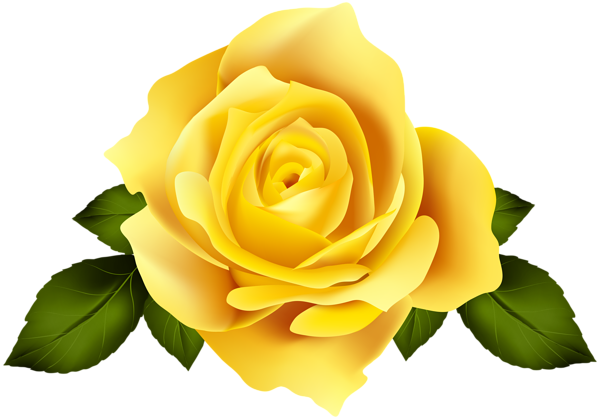 Yellow Rose Flower Gallery Yopriceville High Quality Free Images