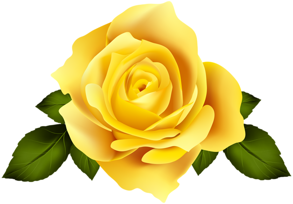 This png image - Yellow Rose Flower, is available for free download