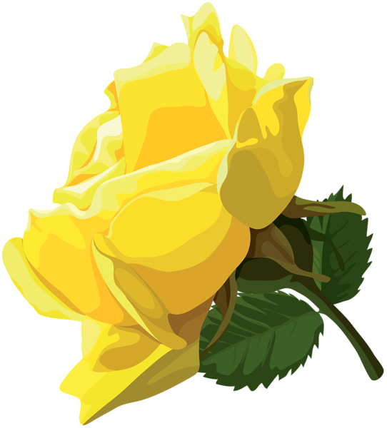 Yellow Rose PNG Clip Art | Gallery Yopriceville - High-Quality Free ...