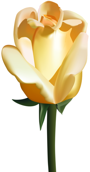 Yellow Rose PNG Clip Art Image | Gallery Yopriceville - High-Quality ...