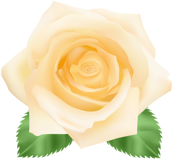 This png image - Yellow Rose PNG Clip Art Image, is available for free download