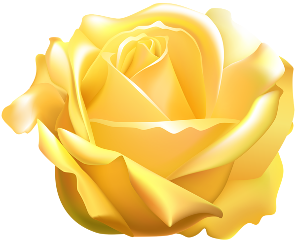 This png image - Yellow Rose PNG Clip Art Image, is available for free download