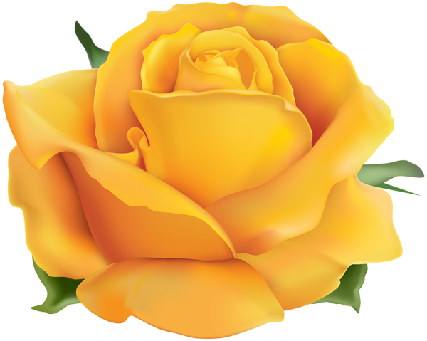 This png image - Yellow Rose PNG Clip Art Transparent Image, is available for free download
