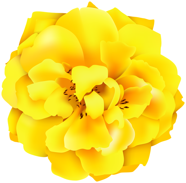 This png image - Yellow Rose PNG Clipart Image, is available for free download