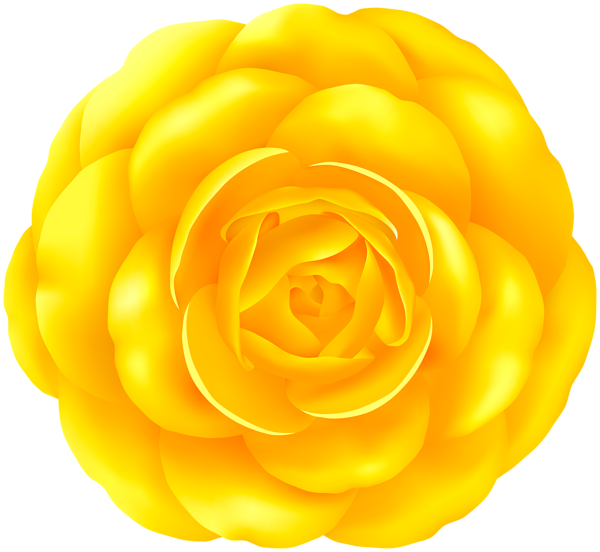 This png image - Yellow Rose PNG Flower Clipart, is available for free download