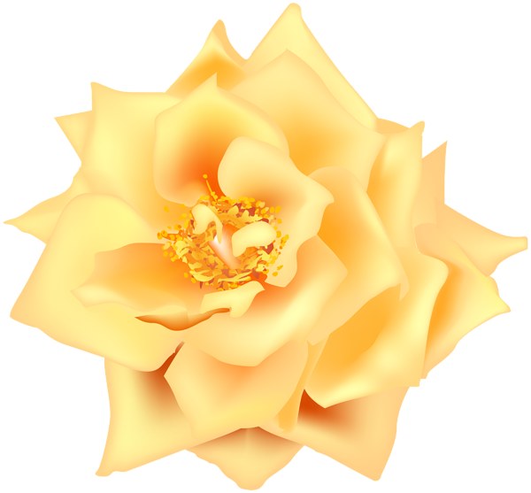This png image - Yellow Rose Transparent Clip Art, is available for free download