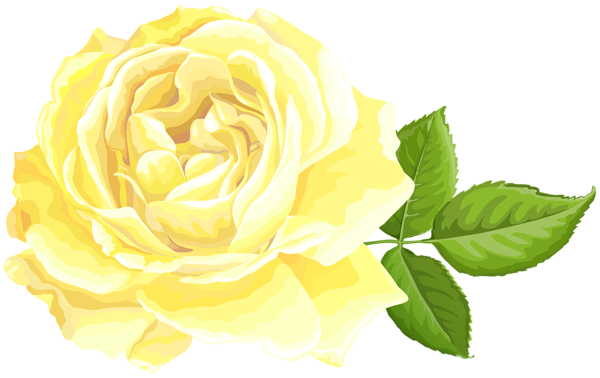 This png image - Yellow Rose Transparent Image, is available for free download