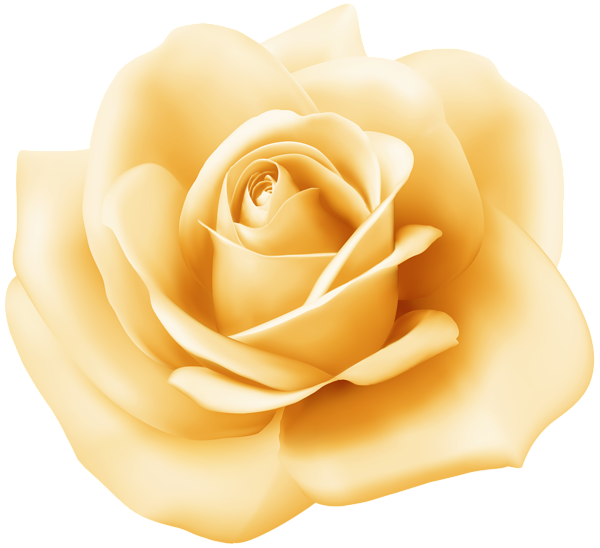 Yellow Rose Transparent Image | Gallery Yopriceville - High-Quality ...