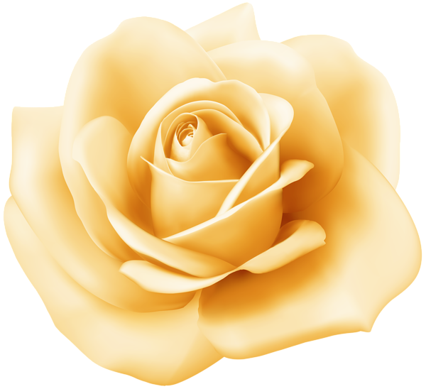 This png image - Yellow Rose Transparent Image, is available for free download