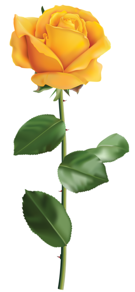 This png image - Yellow Rose Transparent PNG Clip Art Image, is available for free download