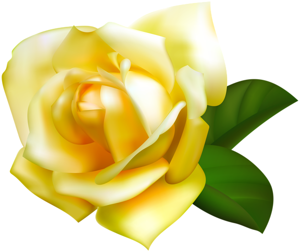 This png image - Yellow Rose Transparent PNG Image, is available for free download