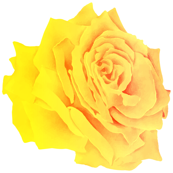 This png image - Yellow Rose Watercolor PNG Clipart, is available for free download