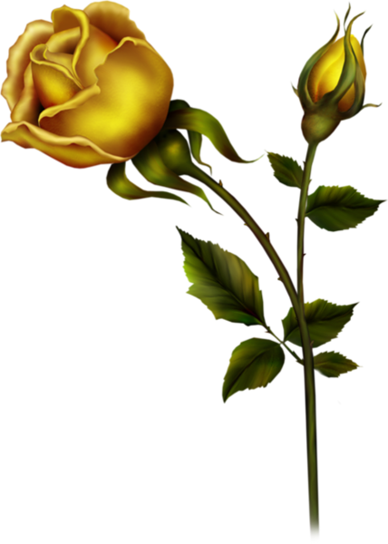 Yellow Rose with Bud PNG Clipart | Gallery Yopriceville - High-Quality