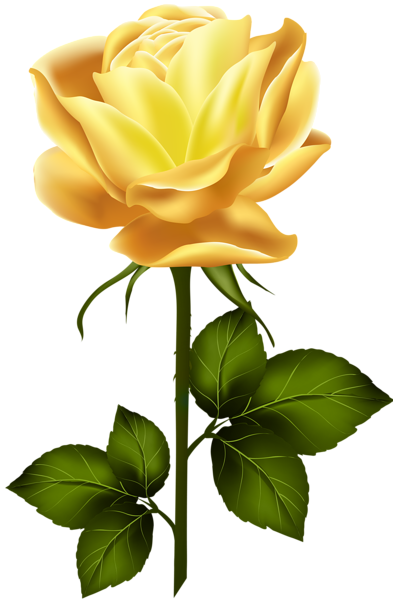 This png image - Yellow Rose with Stem PNG Clip Art, is available for free download