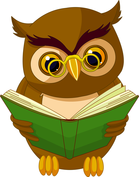 This png image - Transparent Owl with Book PNG Clipart Picture, is available for free download