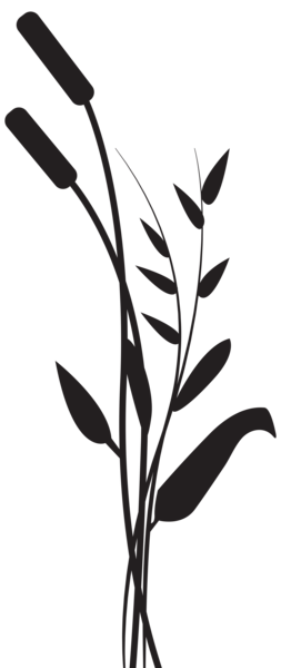 This png image - Bulrush Silhouette PNG Transparent Clip Art Image, is available for free download