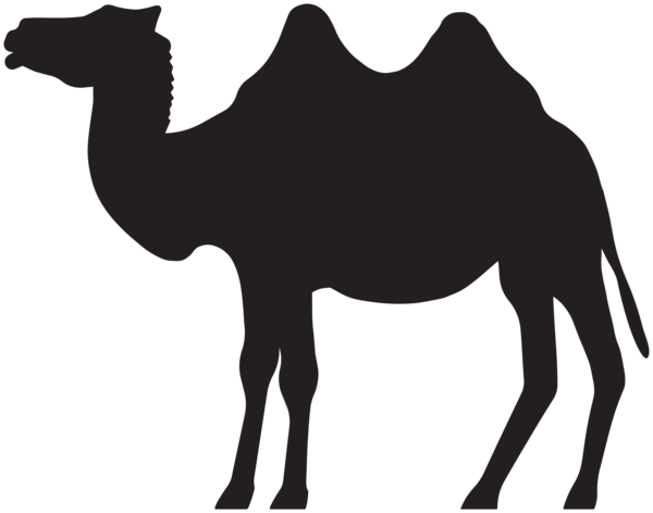 This png image - Camel Silhouette Clipart, is available for free download